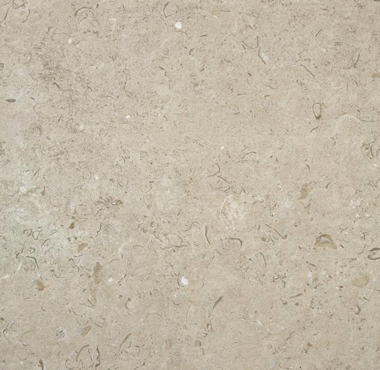 Fassano Natur 60x60