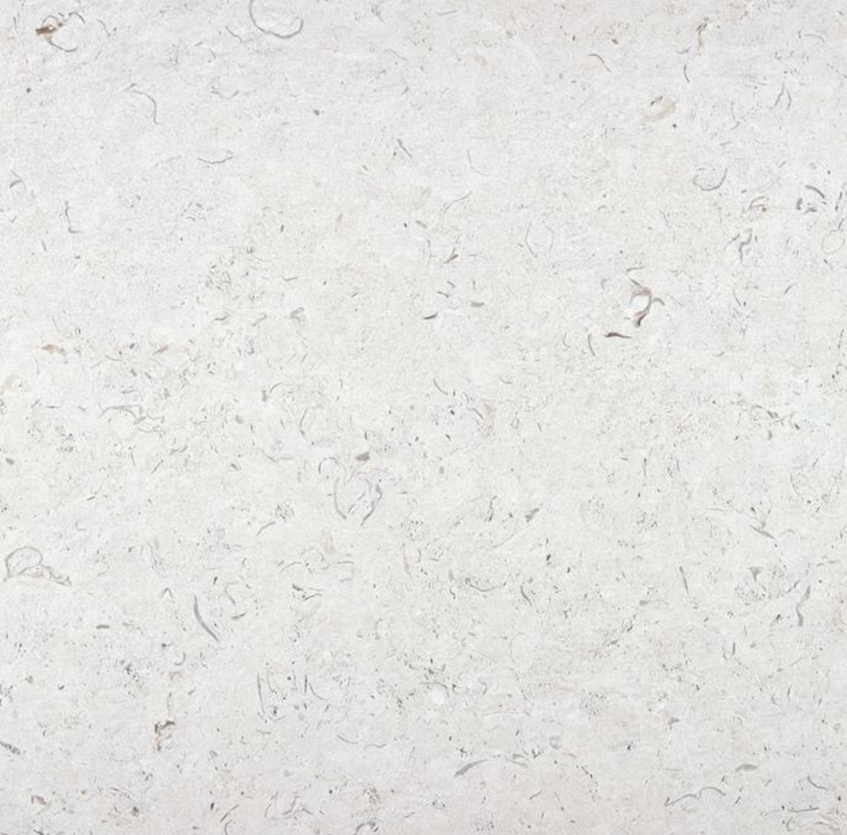 Fassano White 60x60