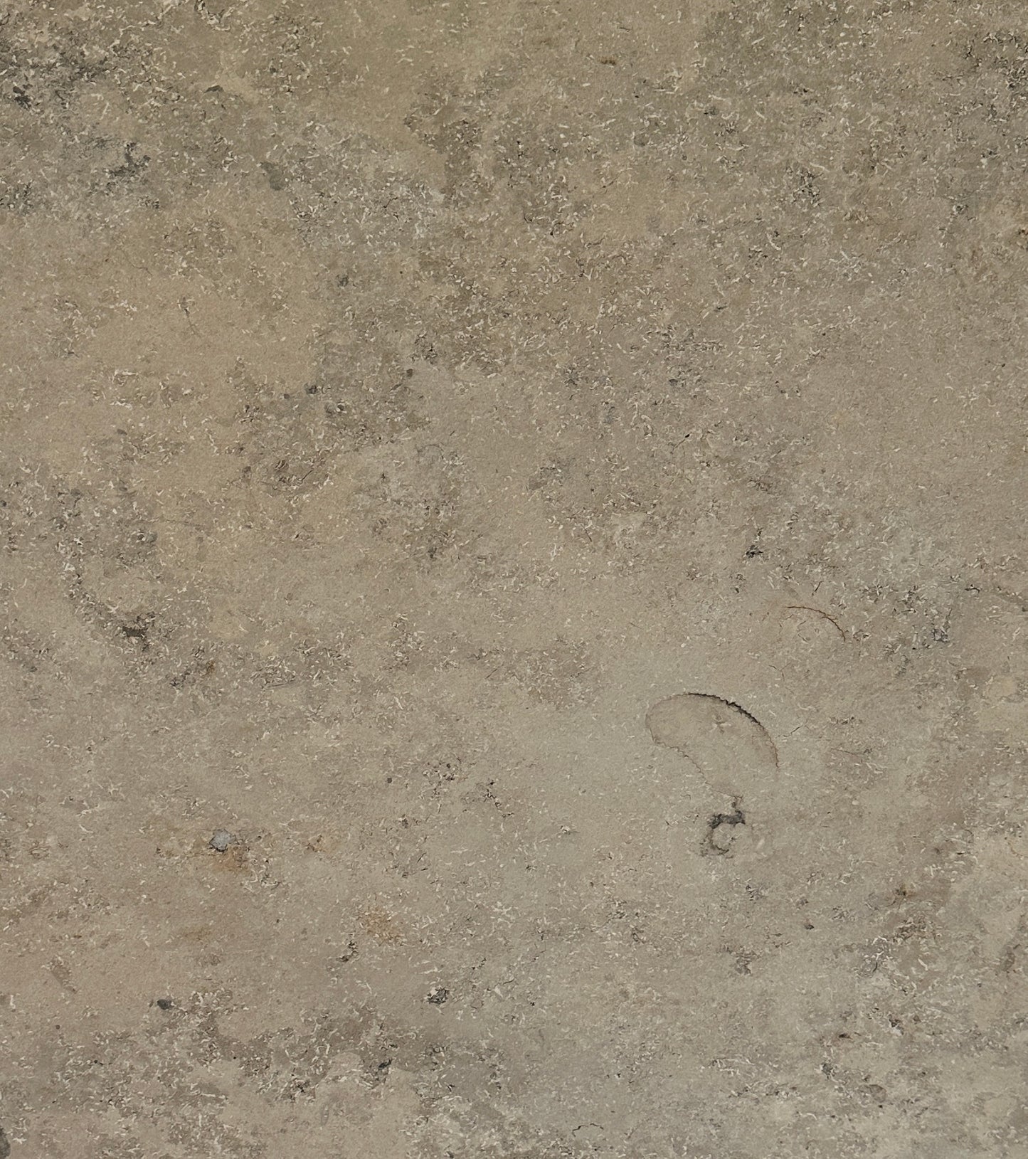 Empoli Beige 60x60