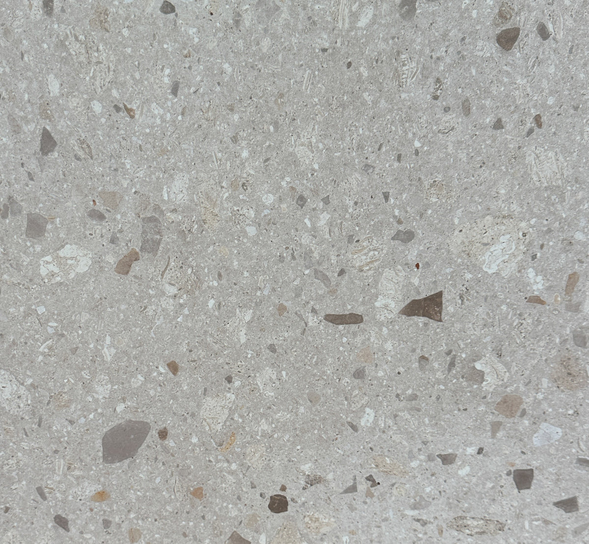Forio Sand Terrazzo-look 60x60